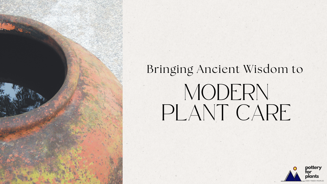 Mountain Mudworks Brings Ancient Wisdom into Modern Plant Care