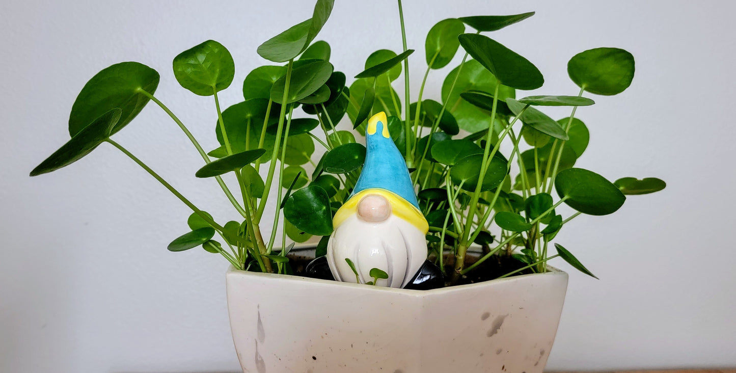 Short Gnome Watering Spike