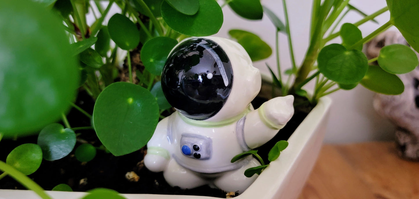 Rebel Astronaut Watering Spike