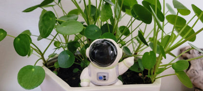 Rebel Astronaut Watering Spike