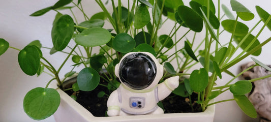 Rebel Astronaut Watering Spike