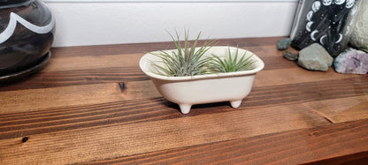 Small Bathtub Planter