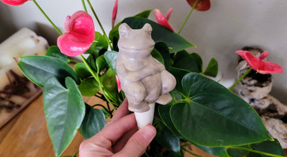 Chill Frog Watering Spike