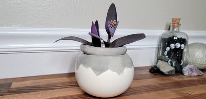 Small Round Self Watering / African Violet Pot