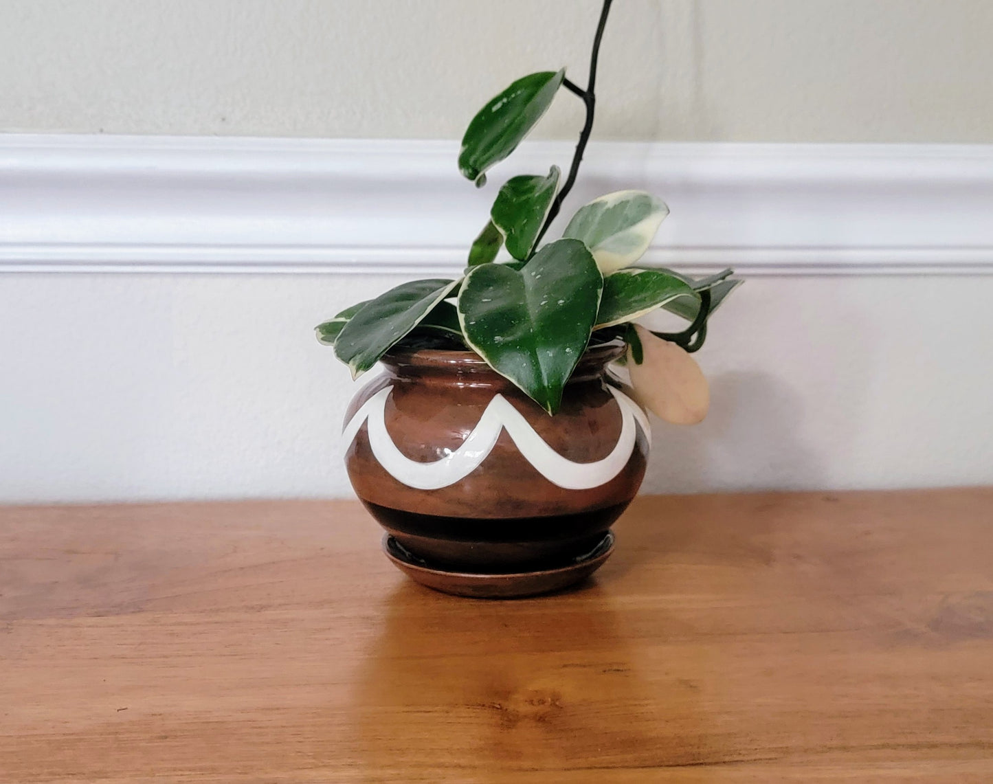 Medium Zelda Pot - Premium Handcrafted Ceramic Planter