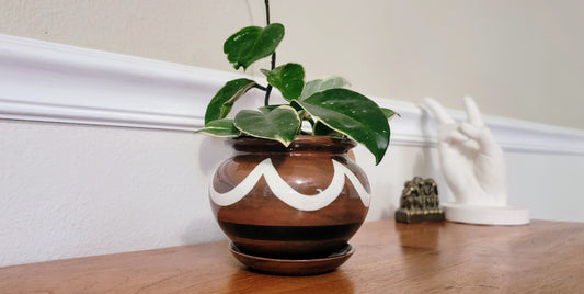 Medium Zelda Pot - Premium Handcrafted Ceramic Planter