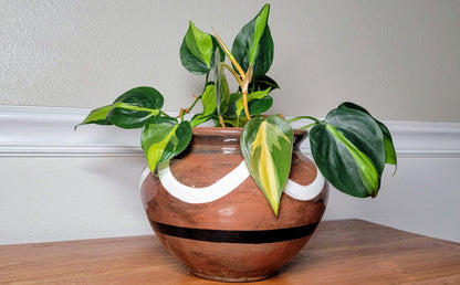 Larger Zelda Pot - Premium Handmade Ceramic Planter