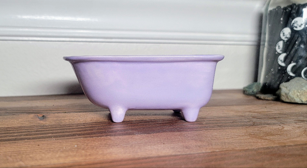 Small Bathtub Planter