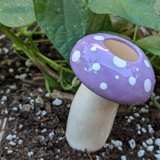 Medium Mushroom Watering Spike