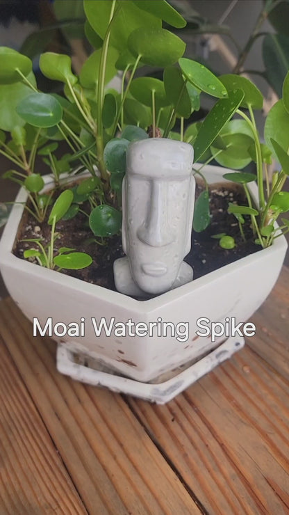 Moai Watering Spike