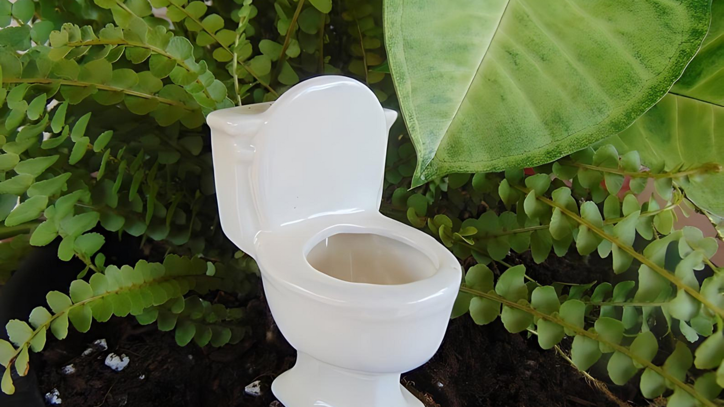 Toilet Watering Spike